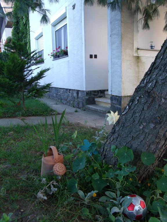Viola Vendégház Kehidakustány Exterior foto